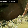 camera-drain-inspection-drain-inspection-service-lansing-grand